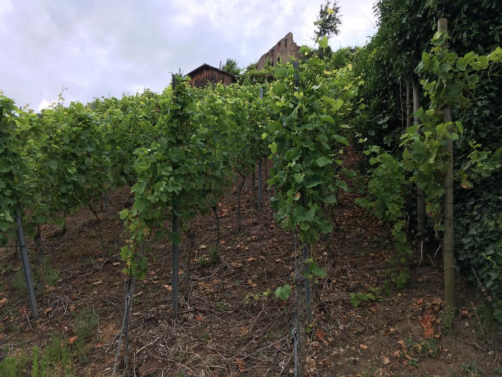 Gasthaus Zum Hirschen Staufen Exterior foto